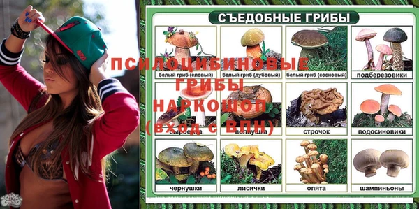мдпв Бугульма