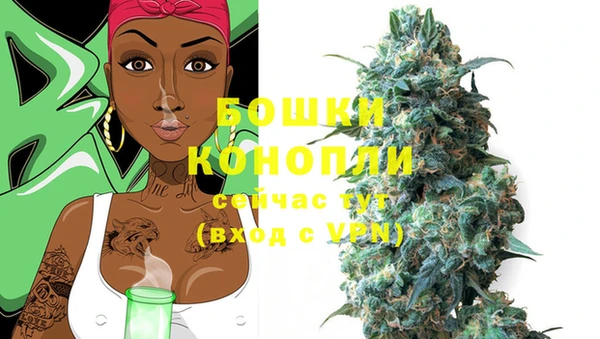 гашик Бронницы