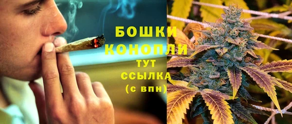 мдпв Бугульма