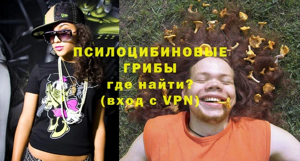 гашик Бронницы